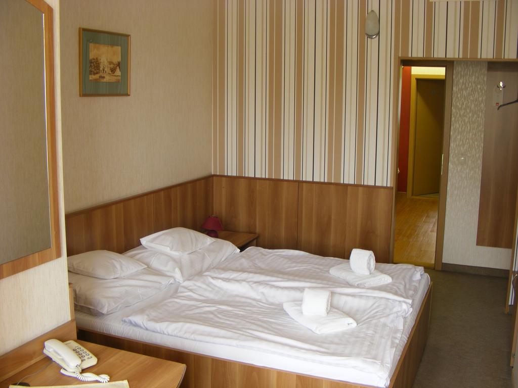 Hary Hotel Kecskemét Rum bild